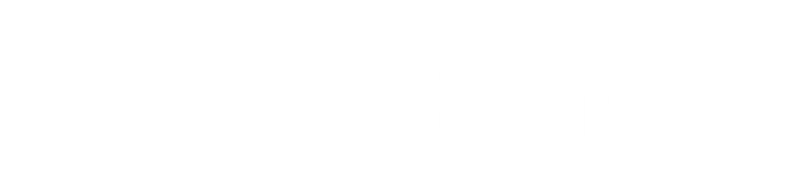 VICE MEDIA GROUP